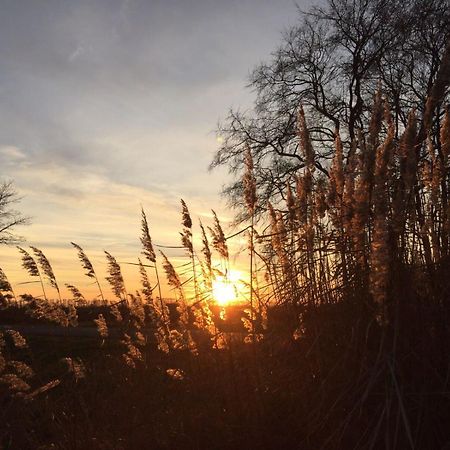 Spreewald-Ferienwohnung Reschke Radensdorf Екстер'єр фото